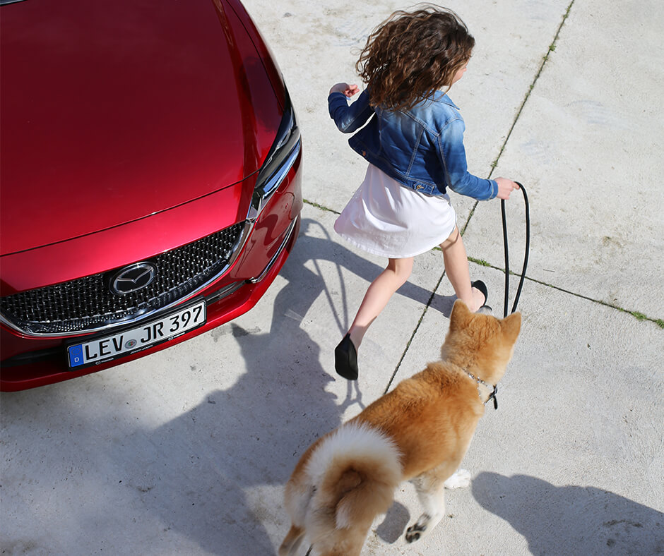Mazda6 SOM Summerseasonal IG Dog